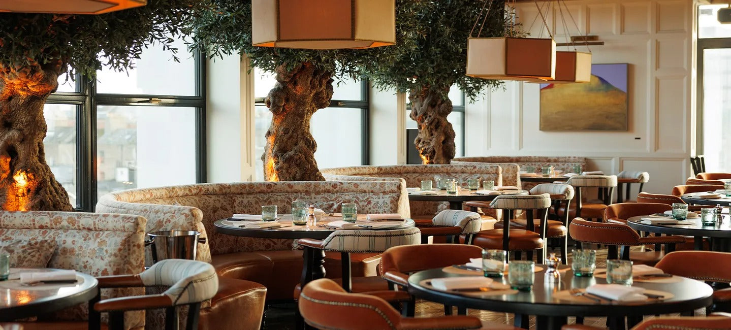 Dining Chairs - INTERIORTONIC