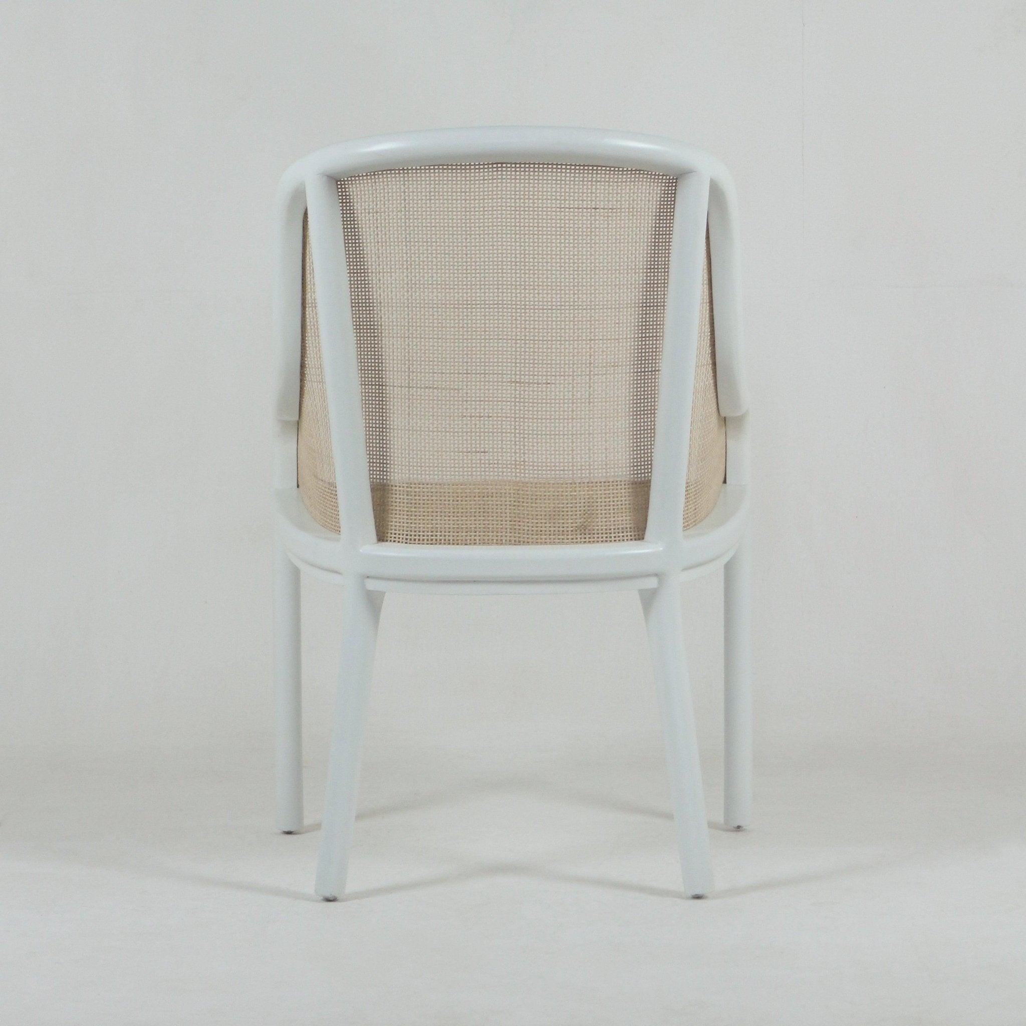Rear view of a white bentwood dining chair with a curved frame, light beige woven cane back and seat, tapered legs and integrated arm supports in a modern mid-century style.