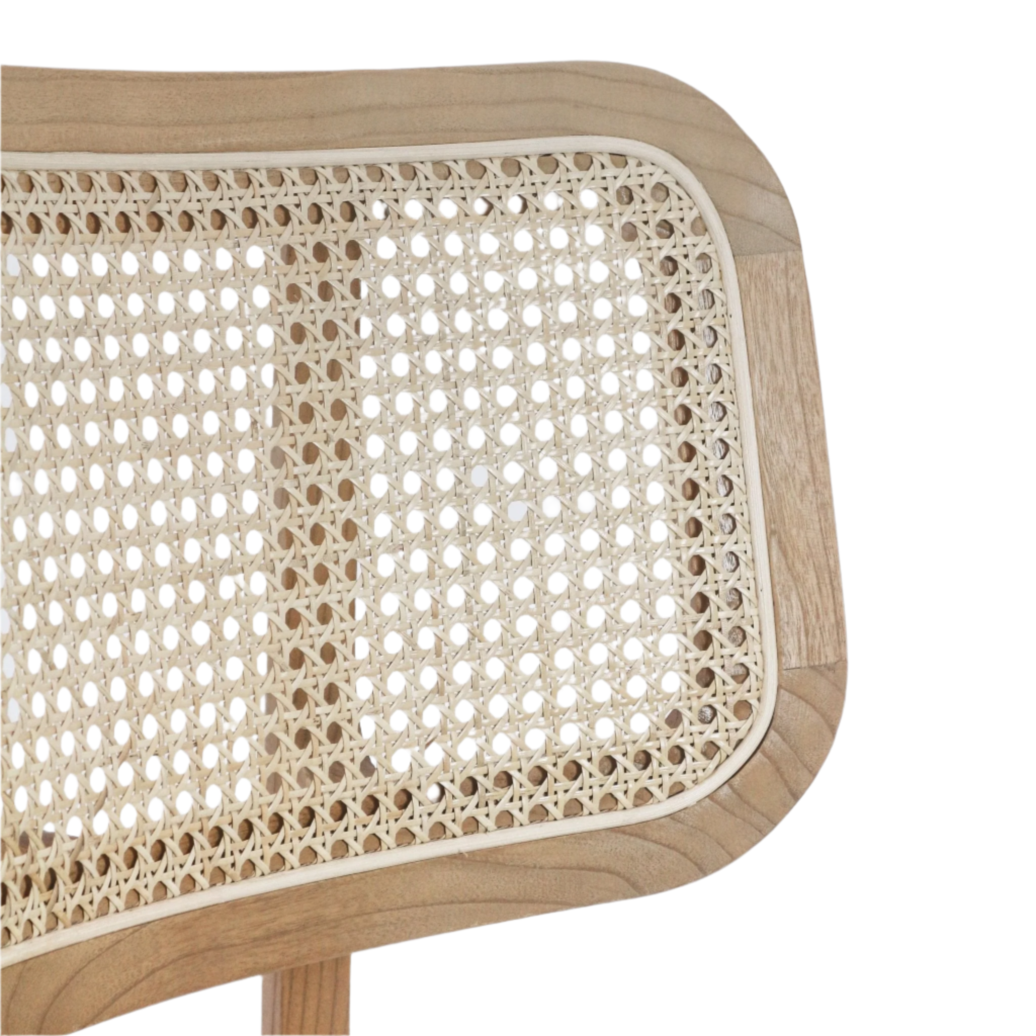 Abode Leather Dining Chair - INTERIORTONIC