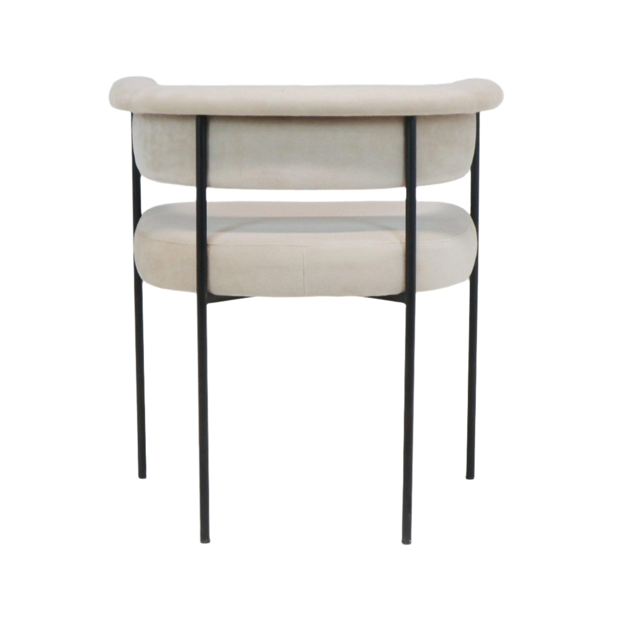 Rear view of a cream boucle upholstered dining chair with rounded padded back and seat, supported by slim black metal legs and tubular frame in a modern, minimalist style.