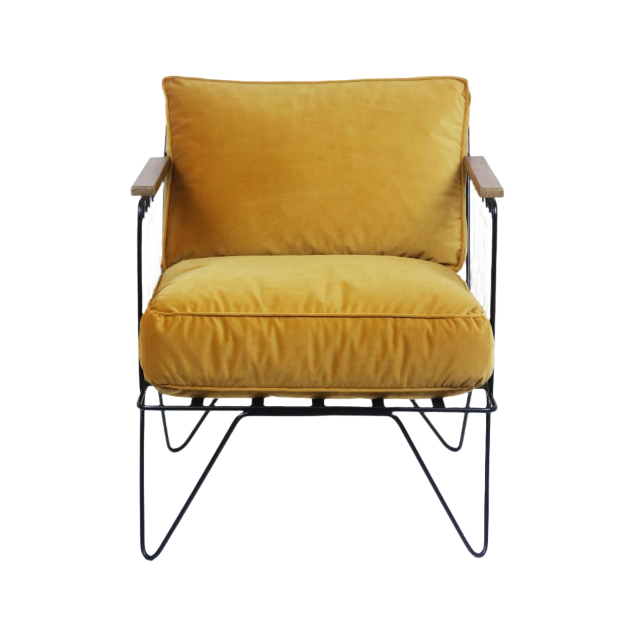 Front view of a modern lounge chair with mustard velvet upholstery on seat and back, black metal wireframe base with hairpin legs and teak wood armrests.