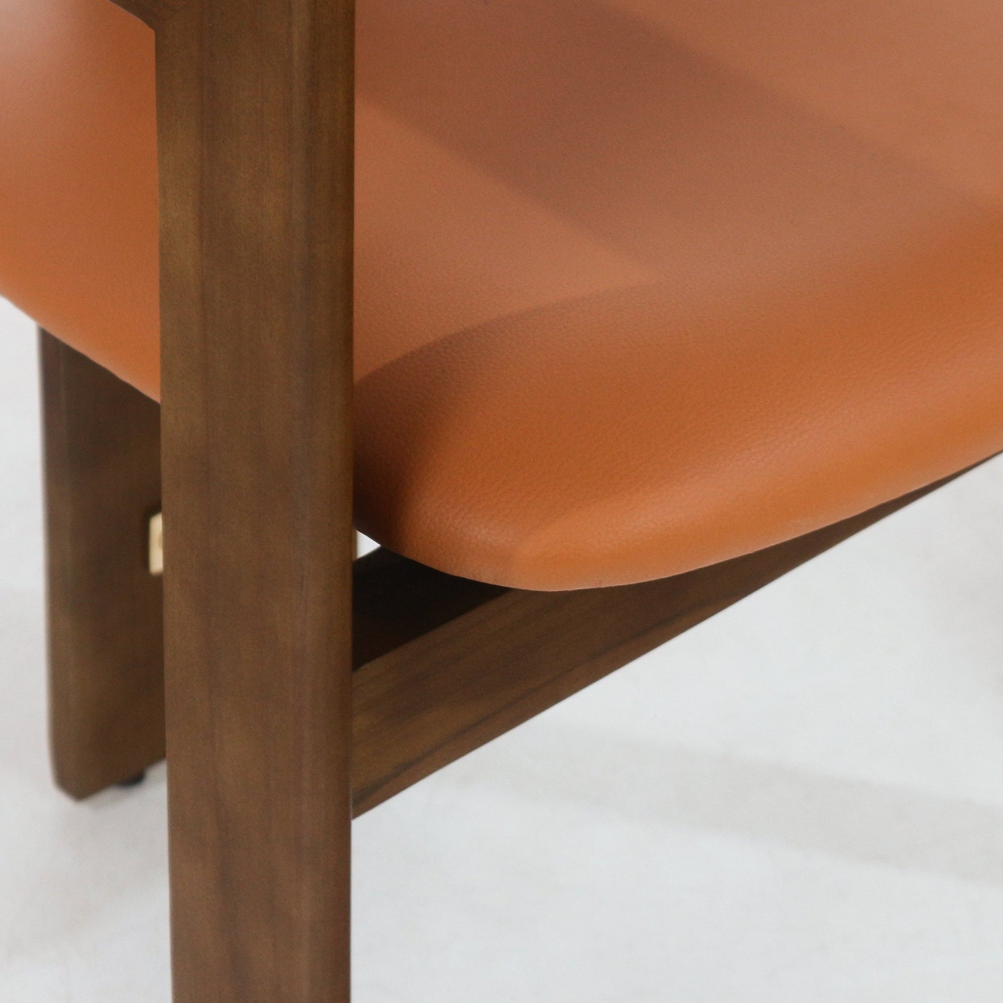 Pamplona Walnut Brown & Tan Leather Dining Chair - INTERIORTONIC