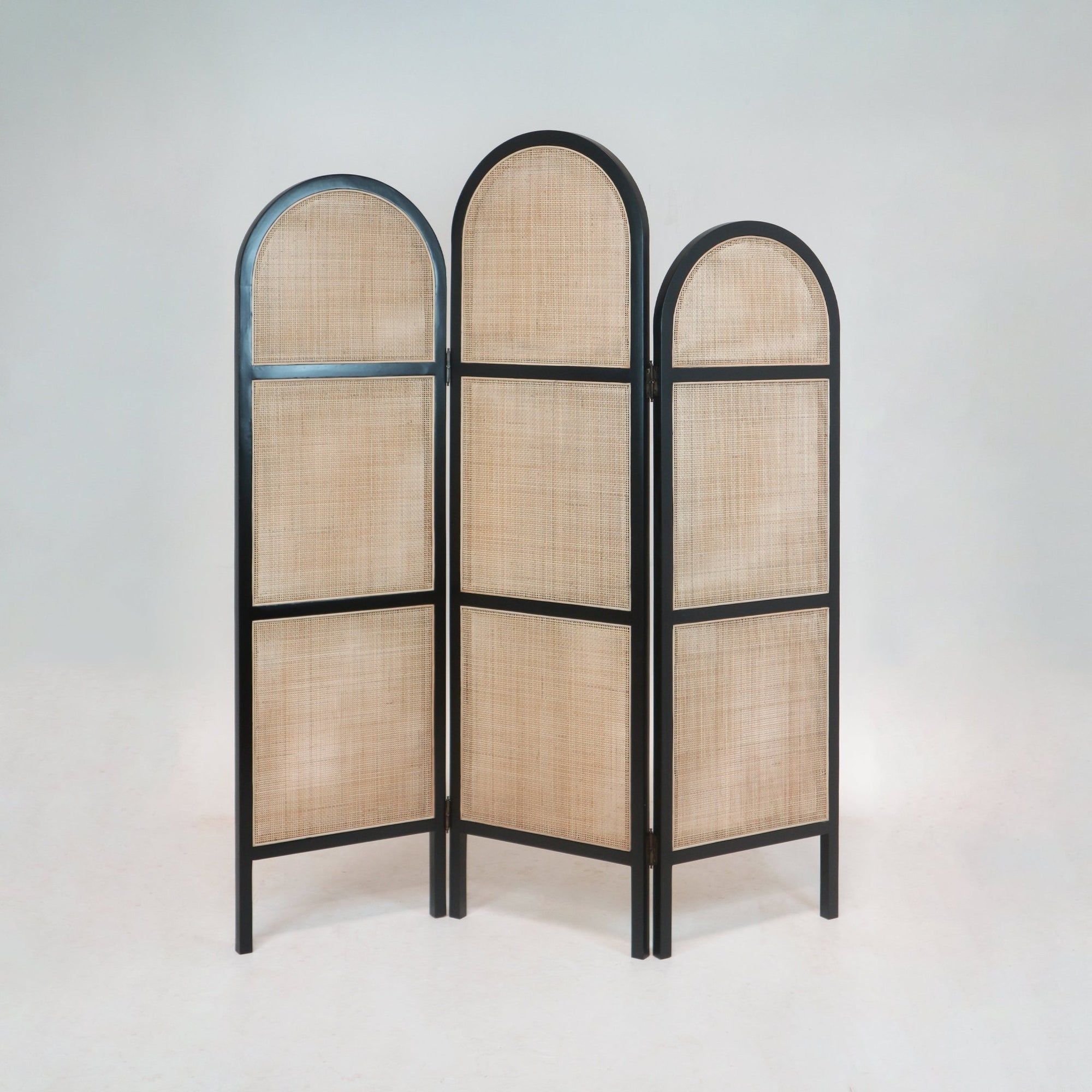 Solid Wood and Rattan Room Divider in Black Gloss - INTERIORTONIC