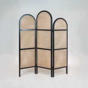 Solid Wood and Rattan Room Divider in Black Gloss